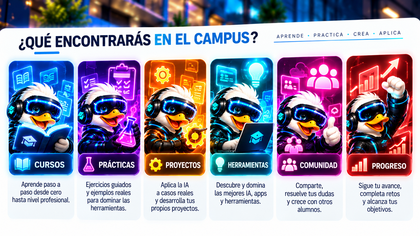 Qué encontrarás en el Campus